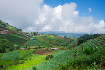 Fototapeta na wymiar landscape with green hills and blue sky, Chiang Mai. Thailand