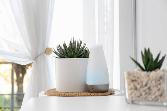 Plant And Oil Diffuser On Table Indoors. Home Design Idea