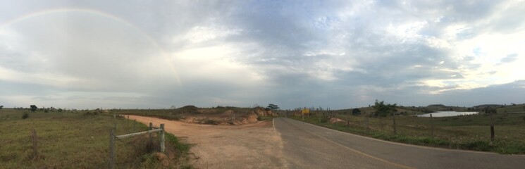 road in the field