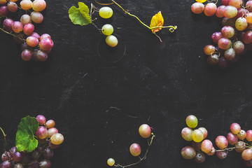 Fototapeta na wymiar Dark Food - Fresh unpolished dark red black grapes on black slate stone background with copy space above