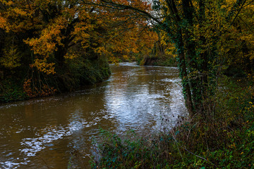 The River Medway between Maidstone and Tonbridge in Autumn