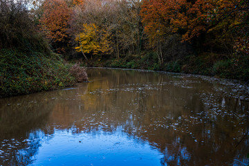 The River Medway between Maidstone and Tonbridge in Autumn