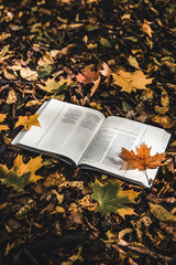 Naklejka na ściany i meble Holy Bible on top of fallen autumn leaves.