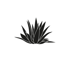 Icon of the agave. Simple vector illustration