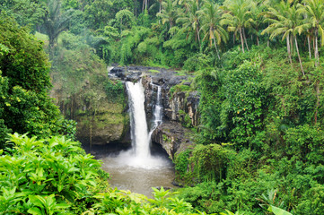 Plakat Waterfall in the middle of forest