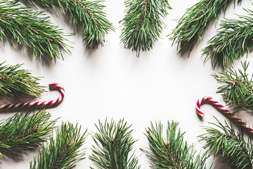 Christmas or New Year decoration background: sweet Christmas canes and branches of a Christmas tree