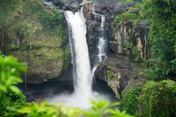 Waterfall in the middle of forest