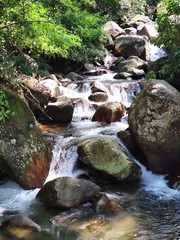 waterfall in forest 
