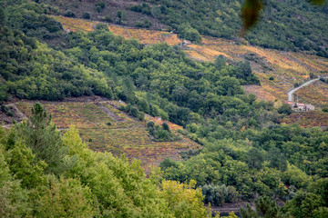 Tourism and hiking route along the banks of the Sil river, the Rivera Sacra in Parada de Sil Ourense Galica Spain