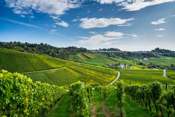 Schilderijen op glas Germany, Beautiful urban area of stuttgart district rotenberg, a city on a hill, surrounded by endless colorful vineyards nature landscape in autumn © Simon