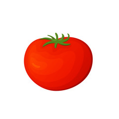 Tomato fresh vegetable vector concept. Healthy diet flat style illustration. Isolated green food, can be used in restaurant menu, cooking books and organic farm label