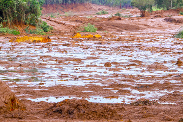 Mineral tailings mud after dam rupture in Brumadinho, Minas Gerais, Brazil