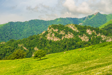 Fototapeta premium Green landscape of South Caucasus mountains in summer