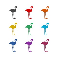 Color flamingo icons set isolated on white background
