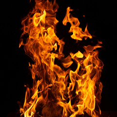 Fire on black background.