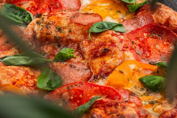 Delicious hot homemade pizza on the wooden table. Pizza - Fresh homemade pizza with pepperoni, cheese and tomato sauce, tomatoes, and basil with copy space. Horizontal