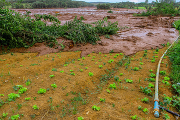 Mineral tailings mud after dam rupture in Brumadinho, Minas Gerais, Brazil