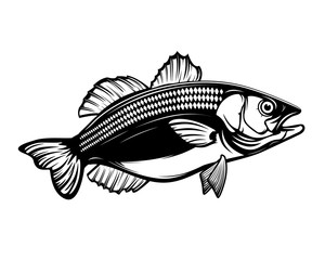 Fishing logo. Bass fish with rod club emblem. Fishing theme illustration. Isolated on white.