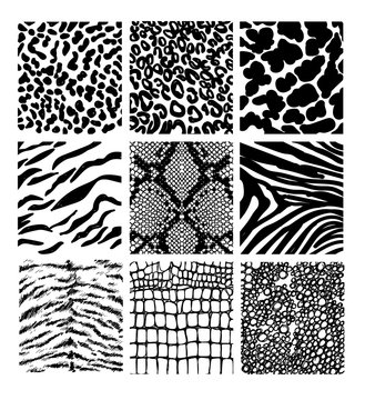 Set of seamless animal print pattern black and white