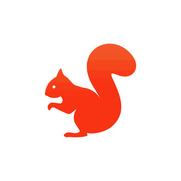 Squirrel sitting icon. Vector illustration.