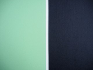 Fototapeta premium color block green black