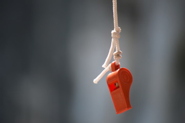 Whistle