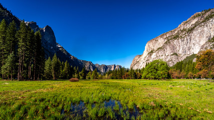 Yosemite National Park
