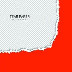 Tear paper background with blank space template design isolated. Vector illustration