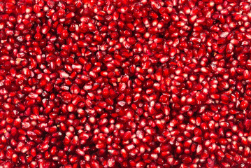 Christmas decoration, red ball isolated on white background.