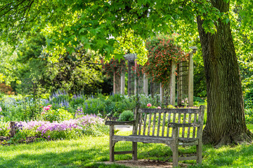 wooden bench at flower garden park
