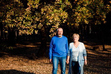 Obraz premium Pensioners walk in the park. Happy old age.