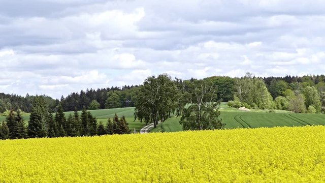 Rappsfeld Sommer