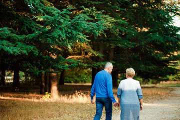 Obraz premium Pensioners walk in the park. Happy old age.