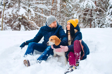loving couple playing with snow in cold weather. young couple walking a dog in a winter park. The guy and the girl are lying in the snow. Active winter holiday with beagle dog.