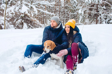 loving couple playing with snow in cold weather. young couple walking a dog in a winter park. The guy and the girl are lying in the snow. Active winter holiday with beagle dog.