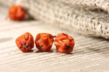 Dry fruits of hawthorn orange on a background of coarse fabric
