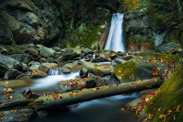 Beautiful waterfall in the mountains flowing through some stones during autumn with a tree trunk in the foreground
