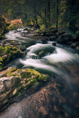 River flowing between mossy rocks near a forest