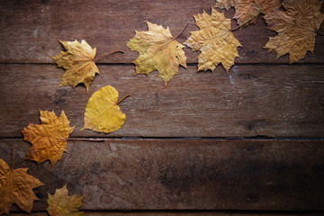 Autumn leaves on rustic wooden table. Thanksgiving background. Top view with copy space. - 303906528