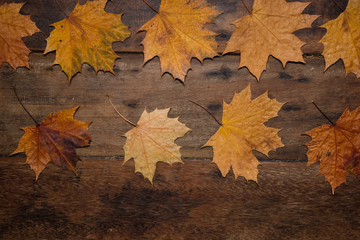 Autumn leaves on rustic wooden table. Thanksgiving background. Top view with copy space. - 303906797