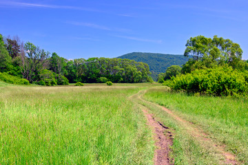Rural country road in a grassy meadow on a blue sky  background