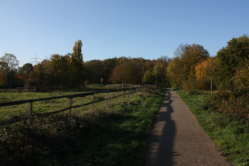 Fototapeta premium green autumn path with blue sky