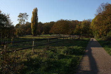 Fototapeta na wymiar green autumn path with blue sky