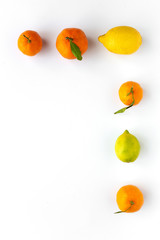 oranges, tangerines and lemons seen from above