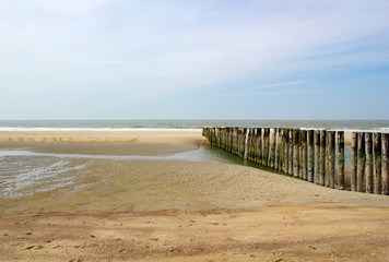 Fototapeta na wymiar Wave breaker made of wooden stakes on the beach