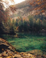 Schöner Blausee in der Schweiz während des farbenfrohen Herbstes