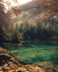 Fototapete Khaki Schöner Blausee in der Schweiz während des farbenfrohen Herbstes