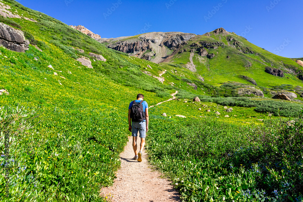 Wall mural man hiker walking through open green meadow field summit on trail to ice lake near silverton, colora