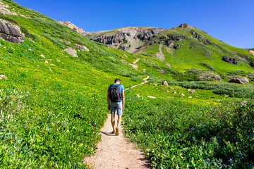 Man hiker walking through open green meadow field summit on trail to Ice lake near Silverton,...
