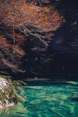 Beautiful Blausee in Switzerland during colorful Autumn